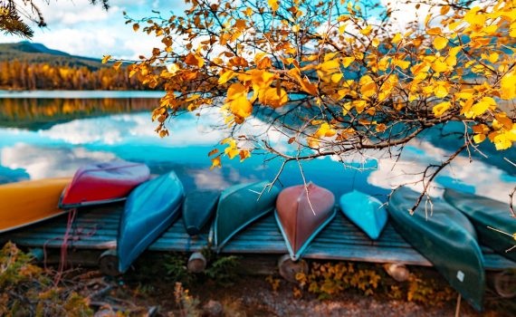 lake, foliage, trees, fall foliage, recreation, autumn, mountain, lakeside, lake resort, recreation outdoors, water sports, yellow, golden, nature, fall, aspen tree, getaway, fall cabin, outdoor experience, michigan, new hampshire, michigan, new hampshire, new hampshire, new hampshire, new hampshire, new hampshire