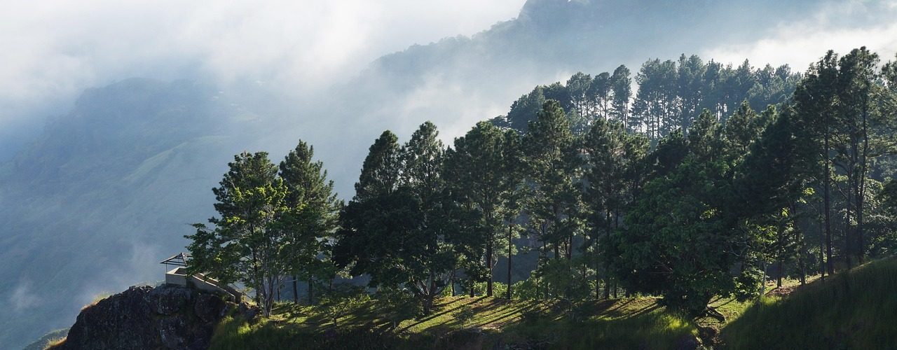 el salvador, cerro el pimp, moutains, cloudy, hill, fog, nature, trees, pine, crag, sunset, landscape