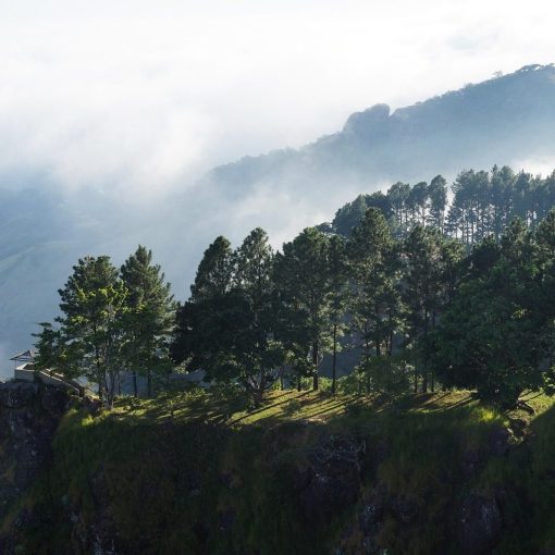 el salvador, cerro el pimp, moutains, cloudy, hill, fog, nature, trees, pine, crag, sunset, landscape